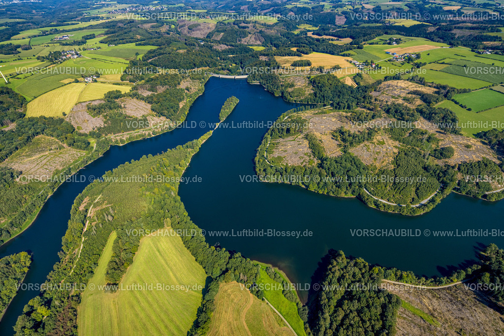Ennepetal240814768 | Luftbild, Ennepetalsperre mit Staumauer und waldiger Insel, Hügellandschaft mit Waldschäden, Stadtgrenze Ennepetal, Boßel, Breckerfeld, Ruhrgebiet, Nordrhein-Westfalen, Deutschland