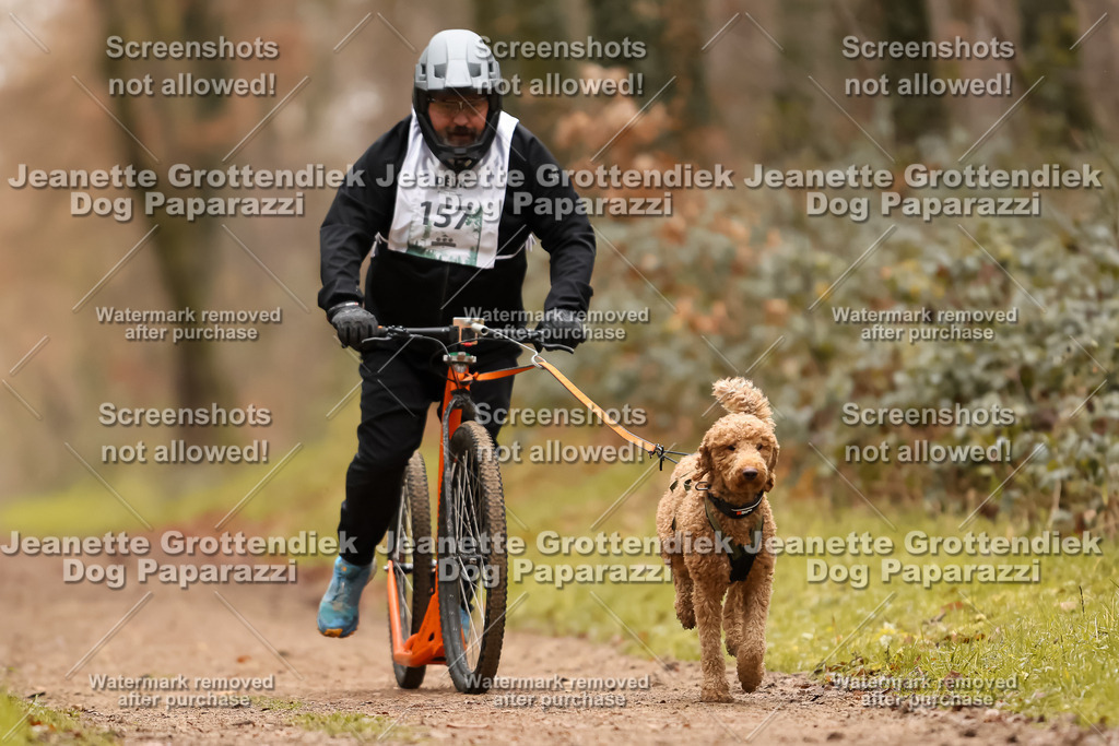 Dog Paparazzi - Speedhunter Mannheim  2025-431 | Dog Paparazzi Jeanette Grottendiek Fotografie & Videografie