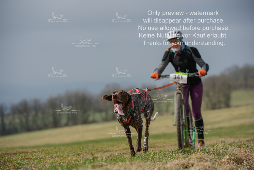 ScooterSA-208 | stephaniefillaphotographie - Realisiert mit Pictrs.com