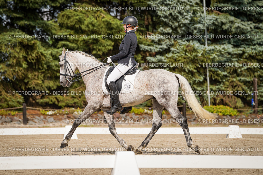 DSC07079 | Pferdegrafie