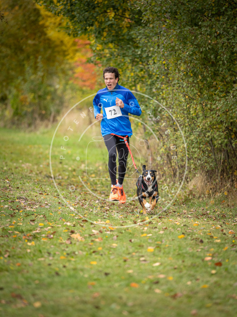 Pfotenfotografie_DV3A2815 | Hundefotografie, Tierfotograf, Pfotenfotografie, Fotoshooting Hund, Hunde Portrait, Hundesport, Hundeportraits, Heideshooting, Hunde, Sportfotograf, Hundefotograf, Turnierhundsport, THS,  - Realisiert mit Pictrs.com