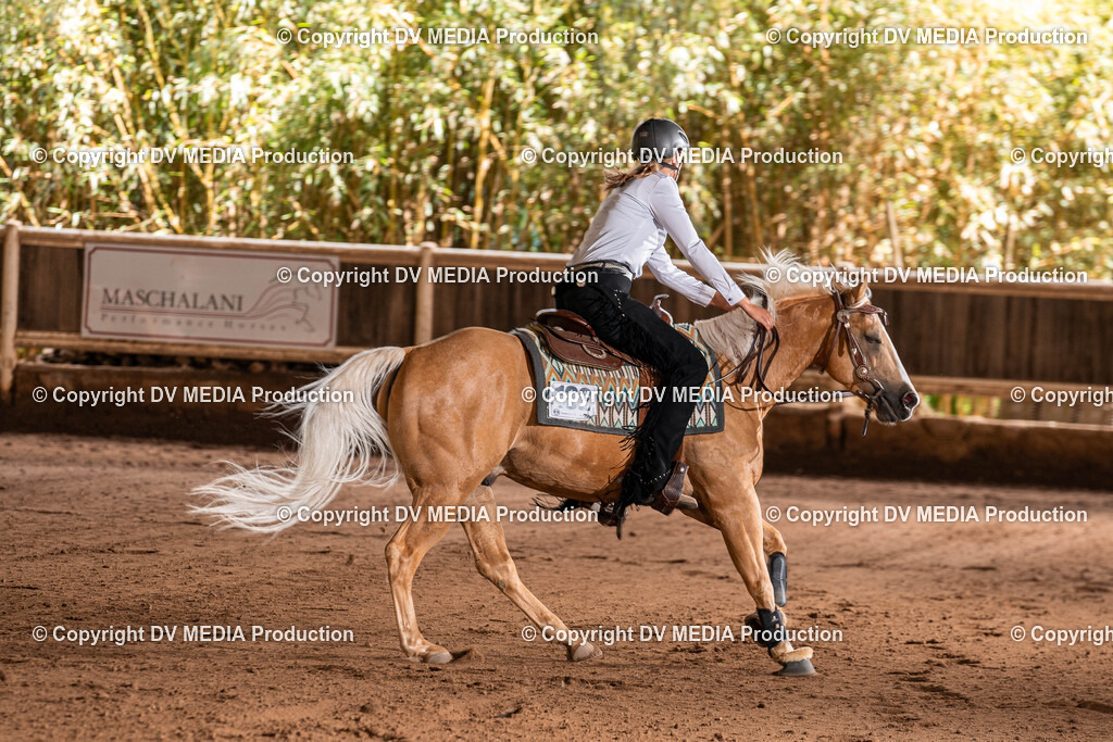 Erbach Tag 2-758 | dv-media-shop - Realisiert mit Pictrs.com