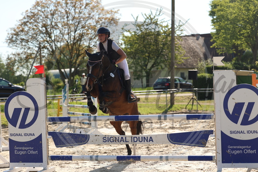 994A6150 | sabrinanicolaifotografie - Realisiert mit Pictrs.com