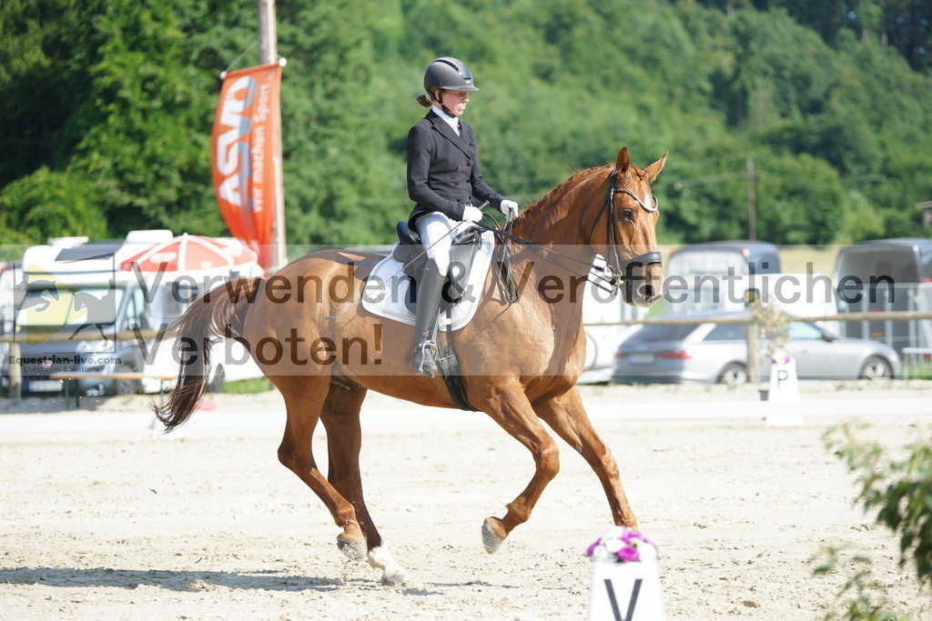 DSC02469 | equestrian-live-com