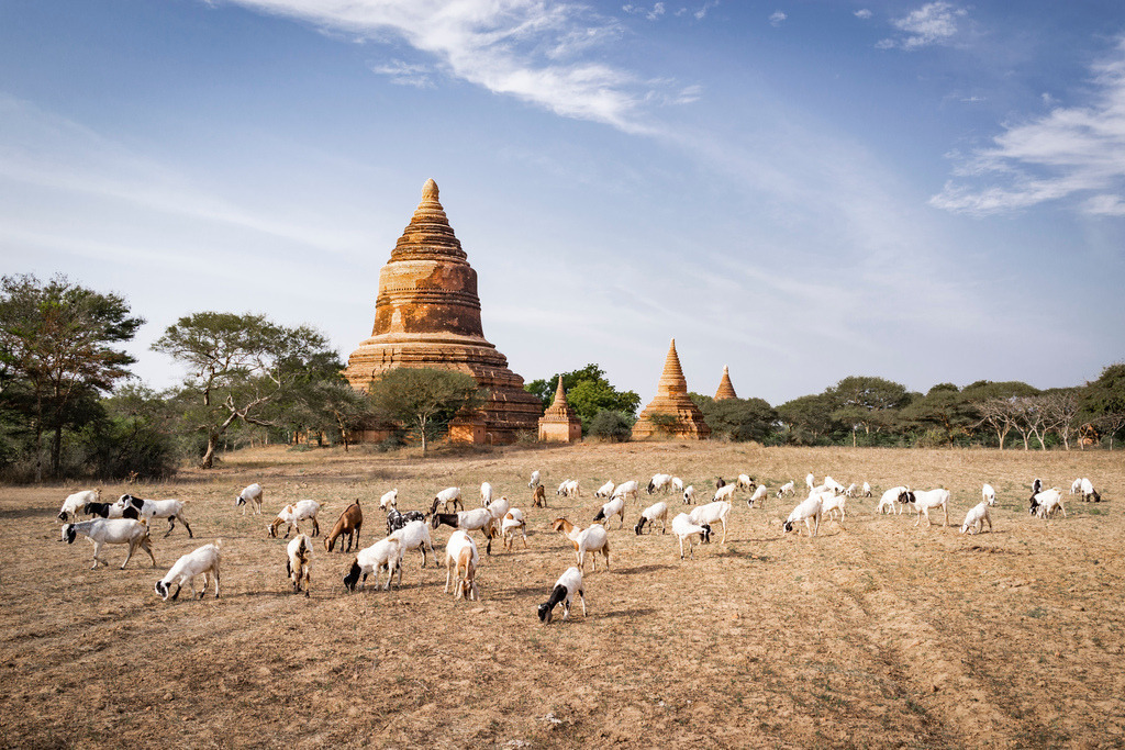 150205-1887 | Hochwertige Fotokunst aus Palm Springs, Santa Monica, New York, Hamburg - sowie atemberaubender Landschaftsfotografie aus Costa Rica, Myanmar und Schottland. - Realisiert mit Pictrs.com