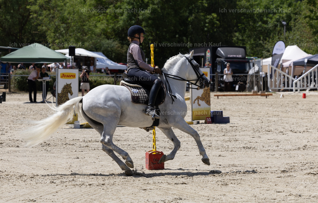 WM_Speed_28_KerstinBernhardt-5 | working equitationturnier fotograf videograf stoibphotography marixx film working equitation deutschland reitsport turnierfotografie eventfotografie equestrian events