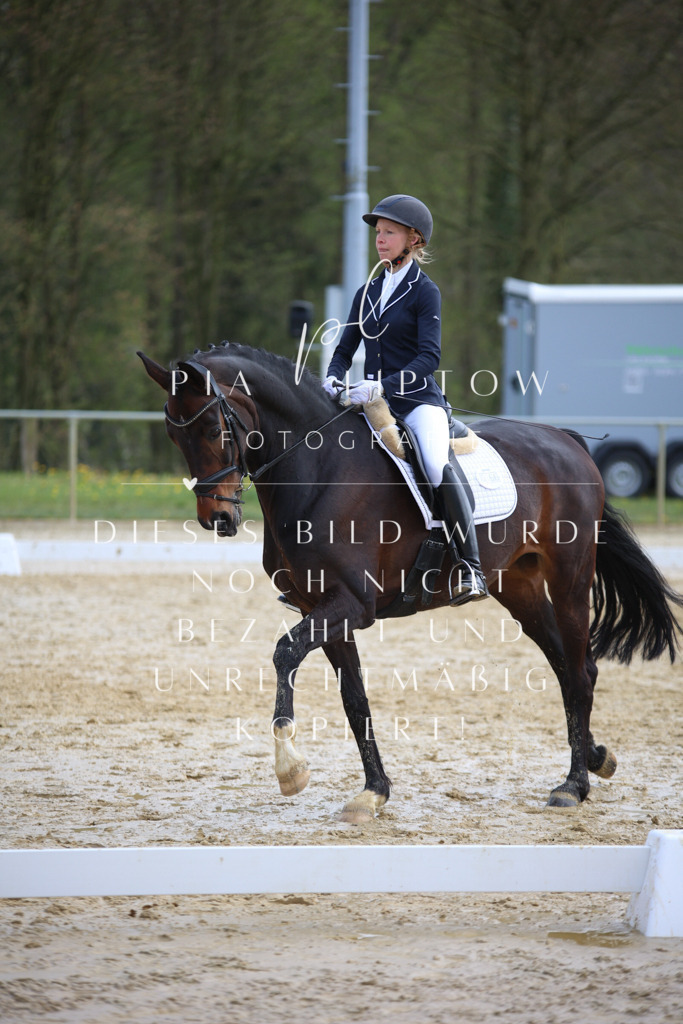 IMGT4991 | pl-fotografie