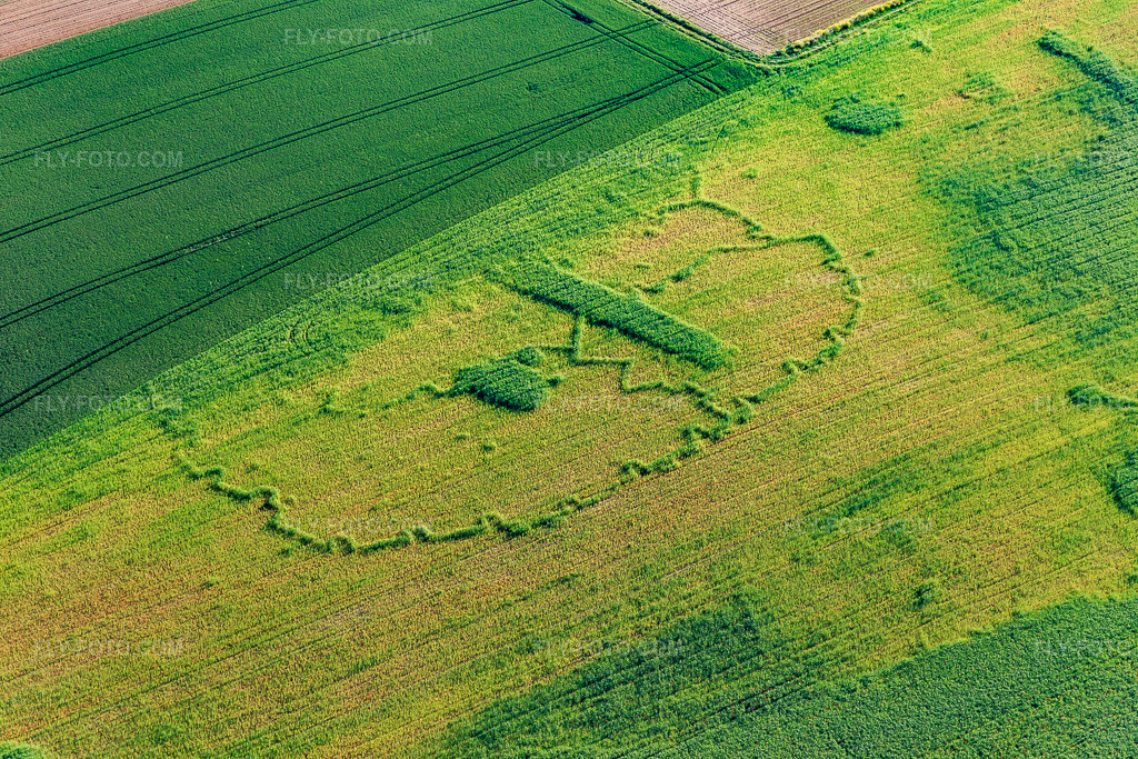 Aerial view: Archaeological traces through growth differences in the cornfield in Wintzenbach in the state Bas-Rhin, France.Photo: IMG_115032.jpg taken on 06/01/2019 by Werner Riehm/FLY-FOTO.comResolution of the original: 5472 x 3648 px
