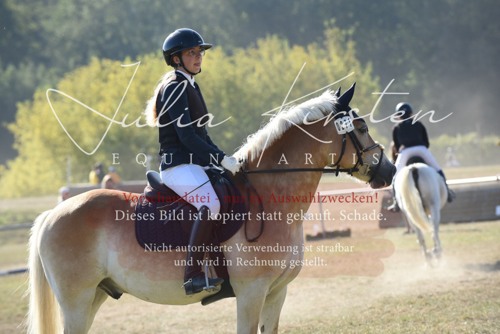 DSC_5878 | Pferde- und Turnierfotografie in Westsachsen. Pferdeportraits, Auftragszeichnungen und intuitive Kunst.