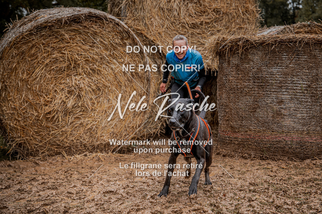 nelerasche_Hunsrück_So12-13_240 | nelerasche