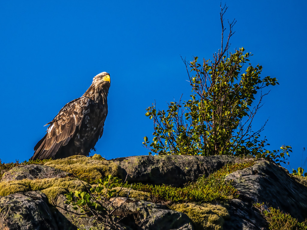 P1001505-Bearbeitet-2022-Bearbeitet-2022-LR | Natur im Moment - Realisiert mit Pictrs.com