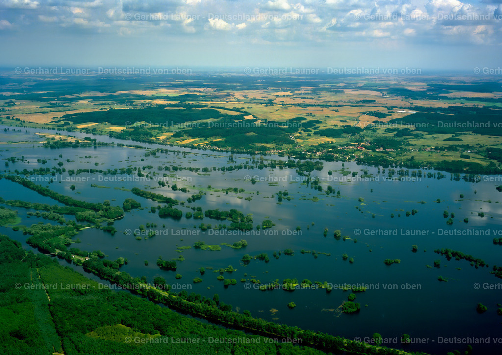 7000616 | Überschwemmung im Nationalpark Unteres Odertal bei Gartz