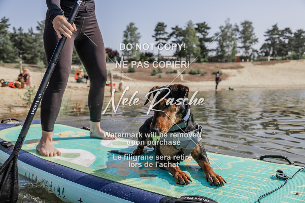 BUHU_SUP_243 | nelerasche