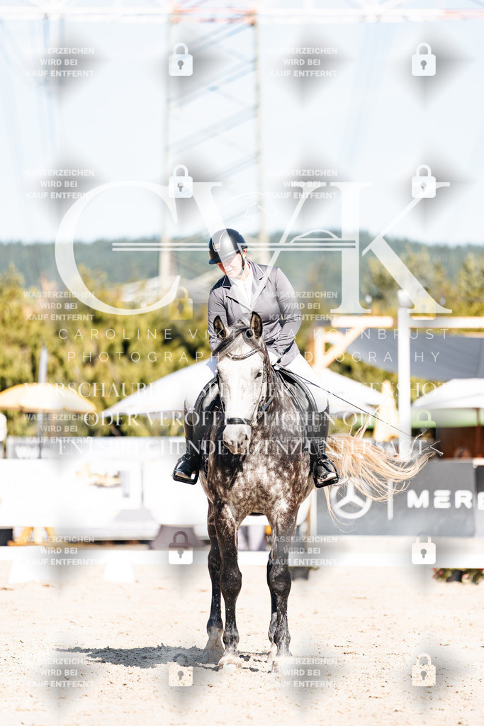 CK908365 | Turnierfotografie Pferdefotografie Trier Rheinland-Pfalz Pferdesport Reitsport Tierfotografie Sportfotografie Pferdevideo Pferdevideografie Equestrianvideography equestrianphotography  - Realisiert mit Pictrs.com