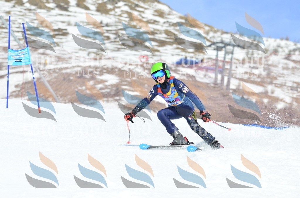 _ELE2330 | holidayphoto