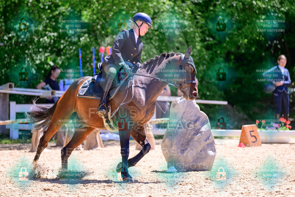 01052026-Giesenbach-02-Stiltrail-0021 | Fokus Hufschlag Fotografie - Realisiert mit Pictrs.com