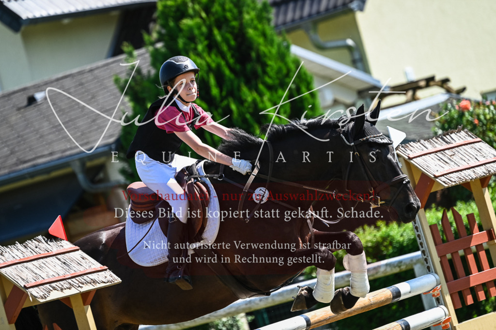 DSC_1162 | Pferde- und Turnierfotografie in Westsachsen. Pferdeportraits, Auftragszeichnungen und intuitive Kunst.