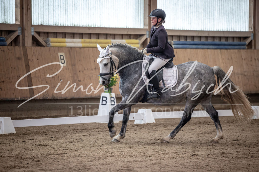20251011-_3LI9220 | Tierfotografie Pferde, Hunde, Katzen, Haustiere.
Turnierfotografie Reitturniere, Reiten, Springreiten, Dressur in Hanau, dem Main-Kinzig-Kreis und dem Rhein-Main- Gebiet um Frankfurt