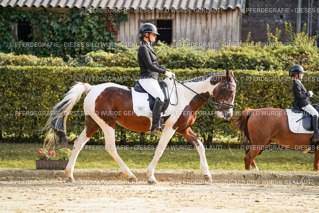 DSC05548 | Pferdegrafie