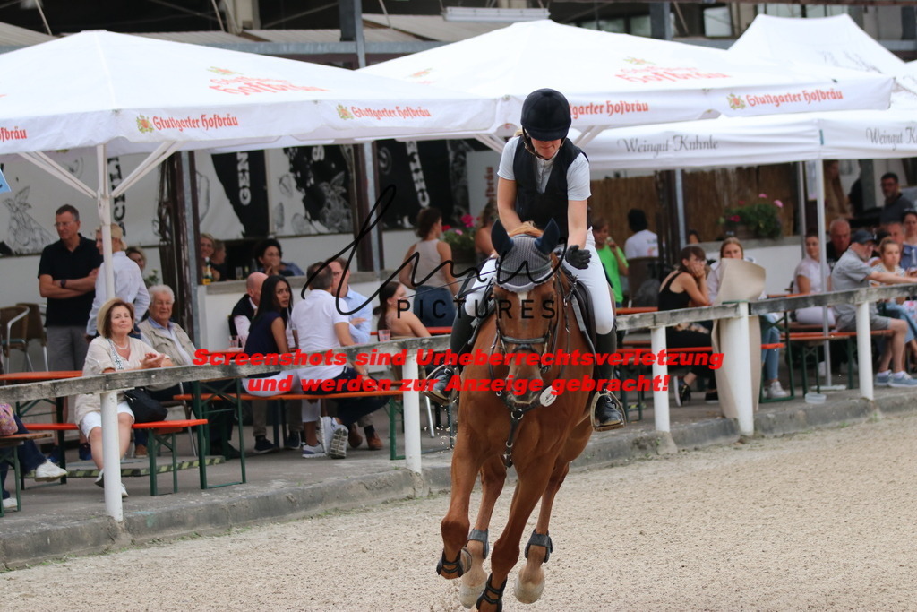 IMG_2938 | lmwpictures - Realisiert mit Pictrs.com