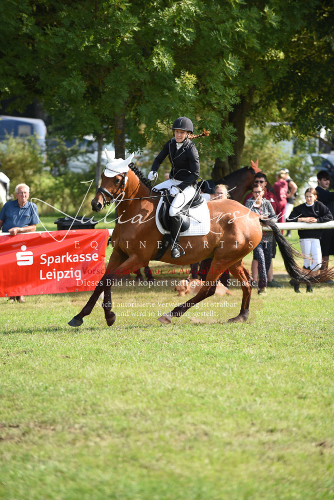 DSC_8875 | Pferde- und Turnierfotografie in Westsachsen. Pferdeportraits, Auftragszeichnungen und intuitive Kunst.