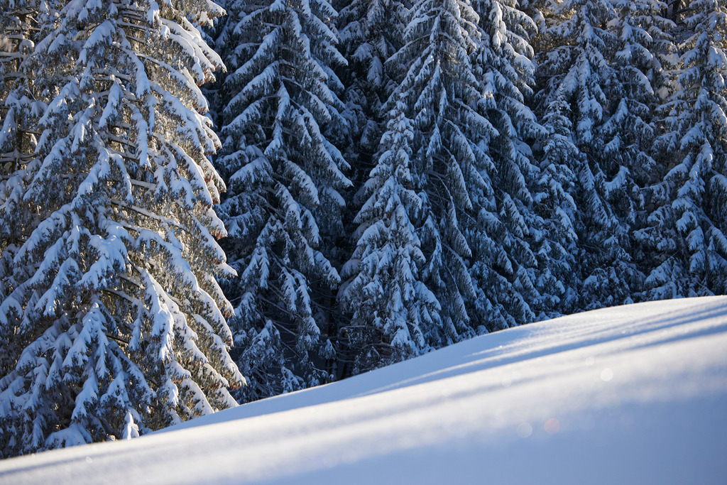 Winterlandschaft am Boedele | Dornbirn, Austria - January 17, 2015: Winterlandschaft am Boedele. - Realisiert mit Pictrs.com