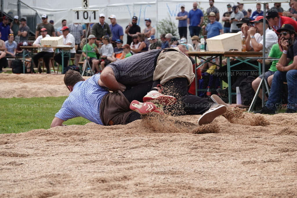 DSC04615 | Schwingen - Realisiert mit Pictrs.com