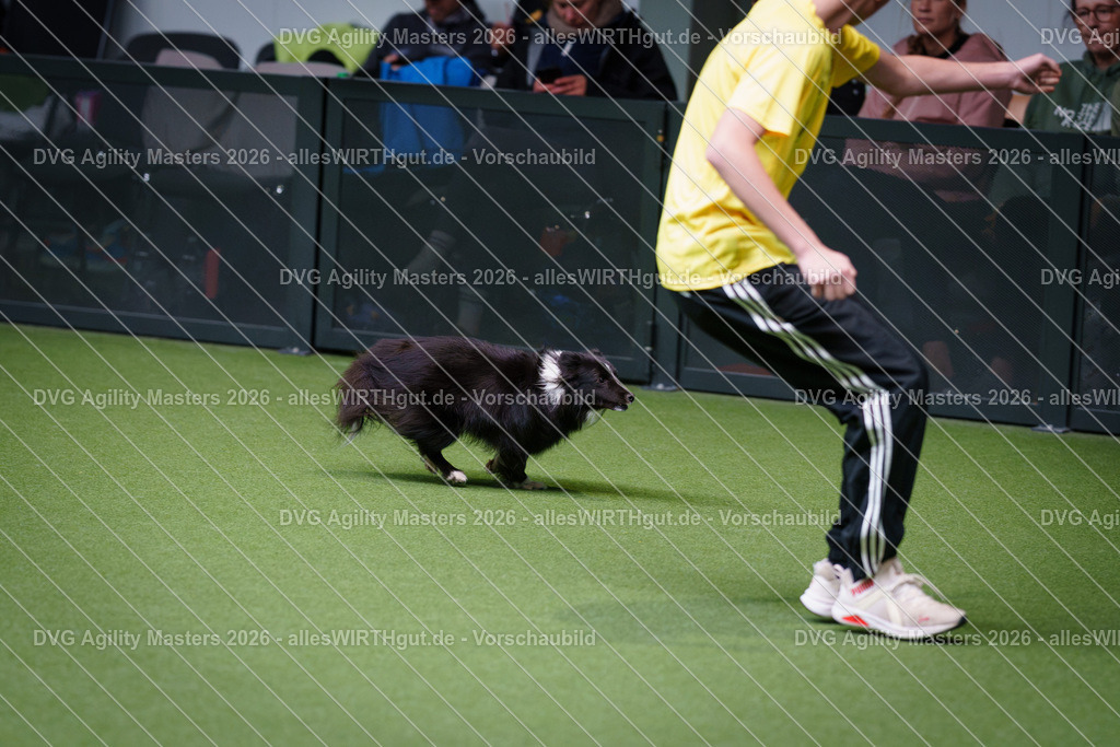 allesWIRTHgut_Tierfotografie-DVG_Agility_Masters_2026-12_37-7R508834 | Professionelle Tierfotografie in Mönchengladbach von Daniel Wirth (allesWIRTHgut). Liebevolle & natürliche Bilder von Hunden & Katzen für unvergessliche Erinnerungen.