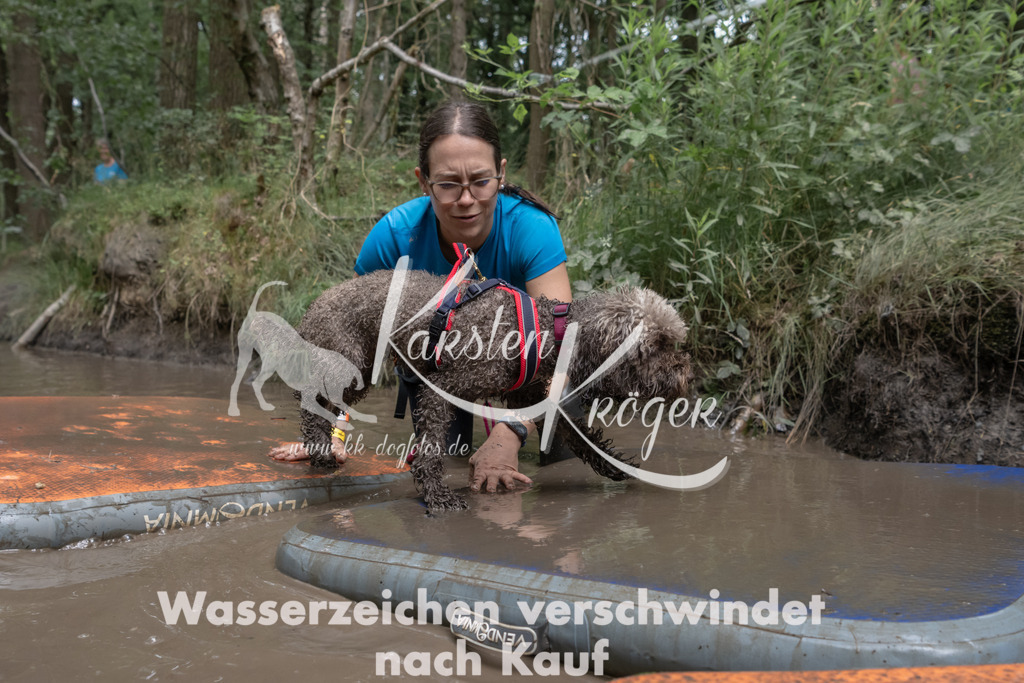 1358_ZZ96551 | kk-dogfotos