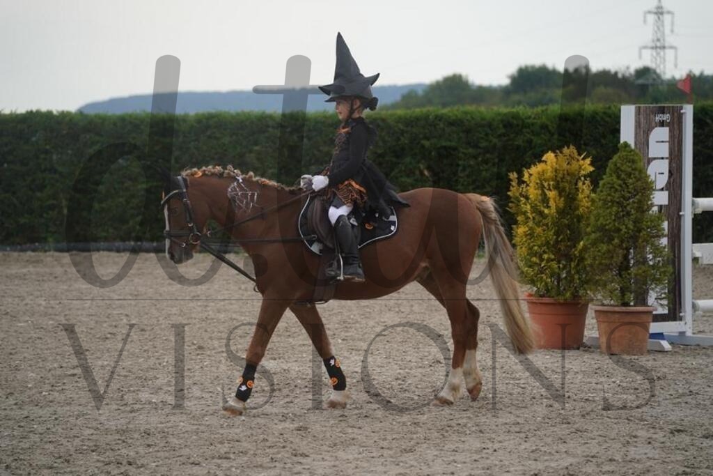 pfmagarethenhof (832) | d.tail Visions - Shop - Realisiert mit Pictrs.com