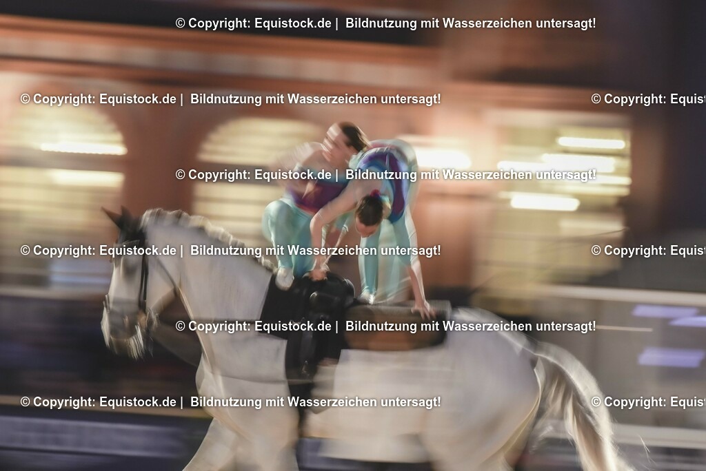 20230527_Voltigieren_NASPA_Flutlicht_0866 | equistock