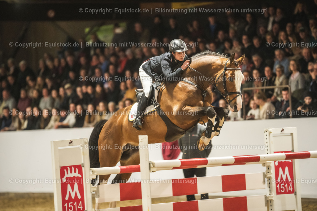 20240302_Hengstvorstellung_Marbach_TOMsPiC_0499-2 | equistock