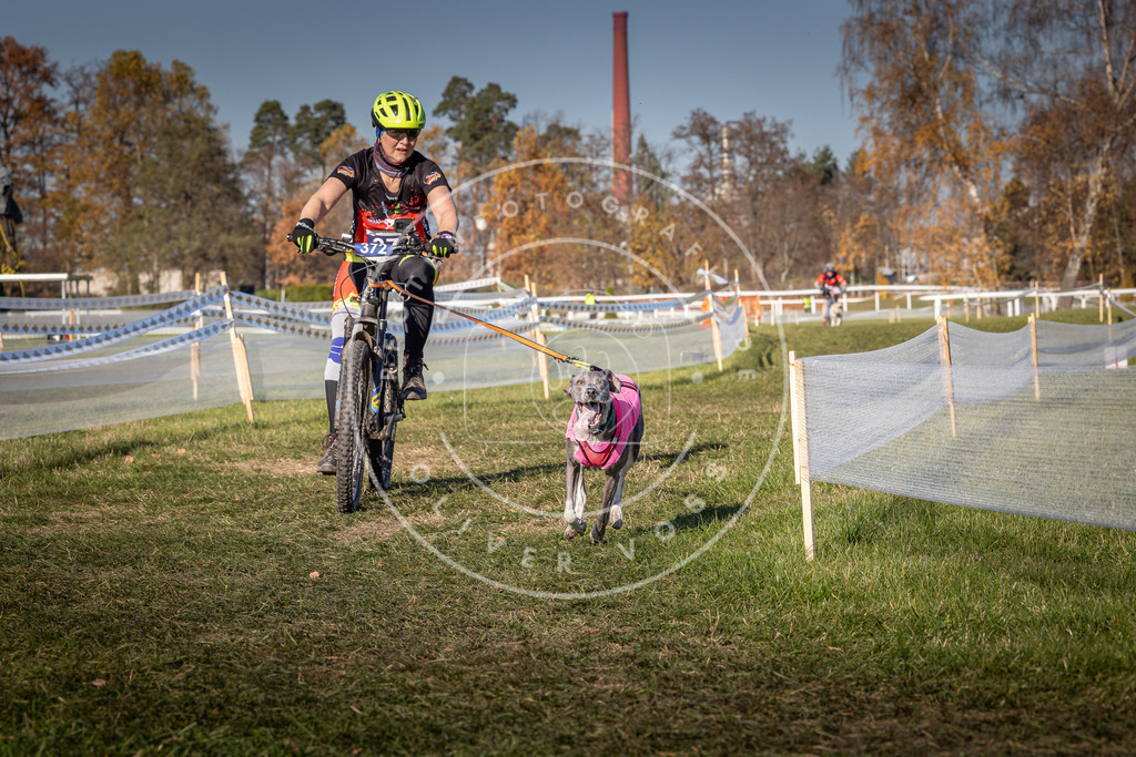 CaniXpix_0L8A6456 | Hundefotografie, Tierfotograf, Pfotenfotografie, Fotoshooting Hund, Hunde Portrait, Hundesport, Hundeportraits, Heideshooting, Hunde, Sportfotograf, Hundefotograf, Turnierhundsport, THS,  - Realisiert mit Pictrs.com