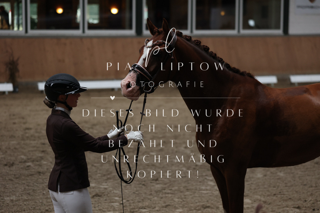 IMGM7109 | pl-fotografie