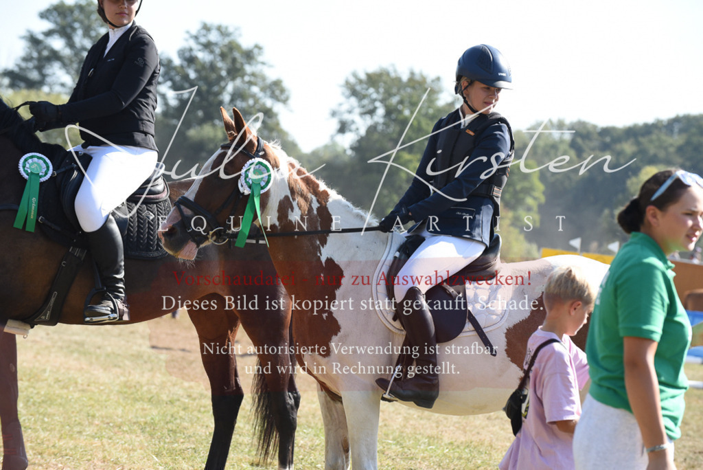 DSC_6178 | Pferde- und Turnierfotografie in Westsachsen. Pferdeportraits, Auftragszeichnungen und intuitive Kunst.