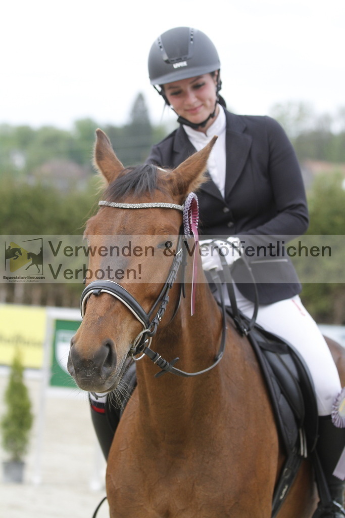 _MG_5317 | equestrian-live-com