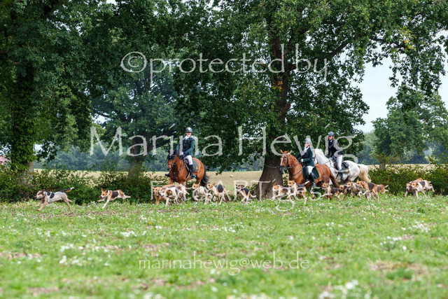 Jagd Perdoel 26 Sony-03606_MarinaHewig | Fotografie, FotoArt, PferdesportArt, Pferdesportfotografie, Landschaftsfotografie, Reisefotografie, Reise, Pferde - Realisiert mit Pictrs.com