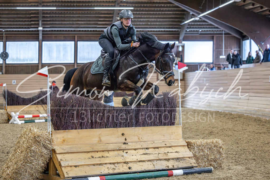 20260222-_3LI1651 | Tierfotografie Pferde, Hunde, Katzen, Haustiere.
Turnierfotografie Reitturniere, Reiten, Springreiten, Dressur in Hanau, dem Main-Kinzig-Kreis und dem Rhein-Main- Gebiet um Frankfurt