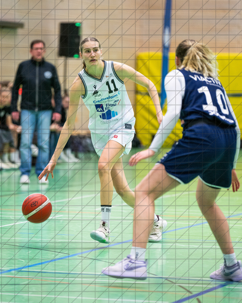2. DBBL Nord 24/25 | 19.01.2025 | BBC OS vs. VfL VIACTIV-AstroLadies Bochum | 2. DBBL Nord 24/25 | 19.01.2025 | BBC OS vs. VfL VIACTIV-AstroLadies Bochum - - - - - CREDIT, www.bullenfotos.de, Martin König, Hörner Weg 40, D-49078 Osnabrück, +4917663732967, Nutzung und Weitergabe nur zu den vereinbarten Zwecken. Presseanfragen an Urheber. Alle Rechte beim Urheber. - - - - - - Realisiert mit Pictrs.com
