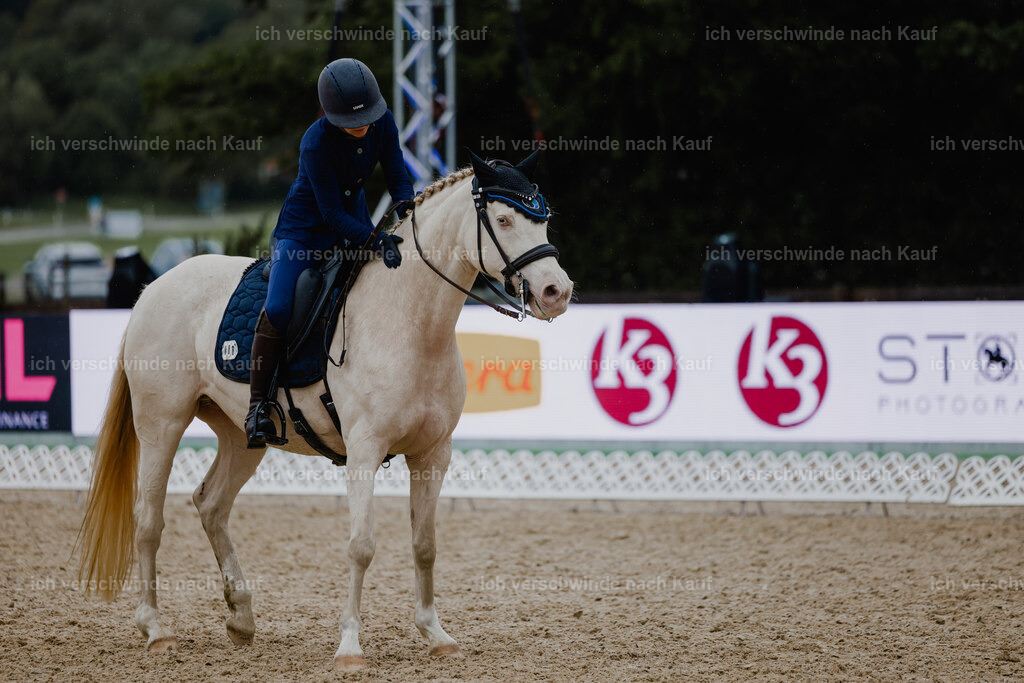 Nici11_FHC2025-25149 | working equitationturnier fotograf videograf stoibphotography marixx film working equitation deutschland reitsport turnierfotografie eventfotografie equestrian events