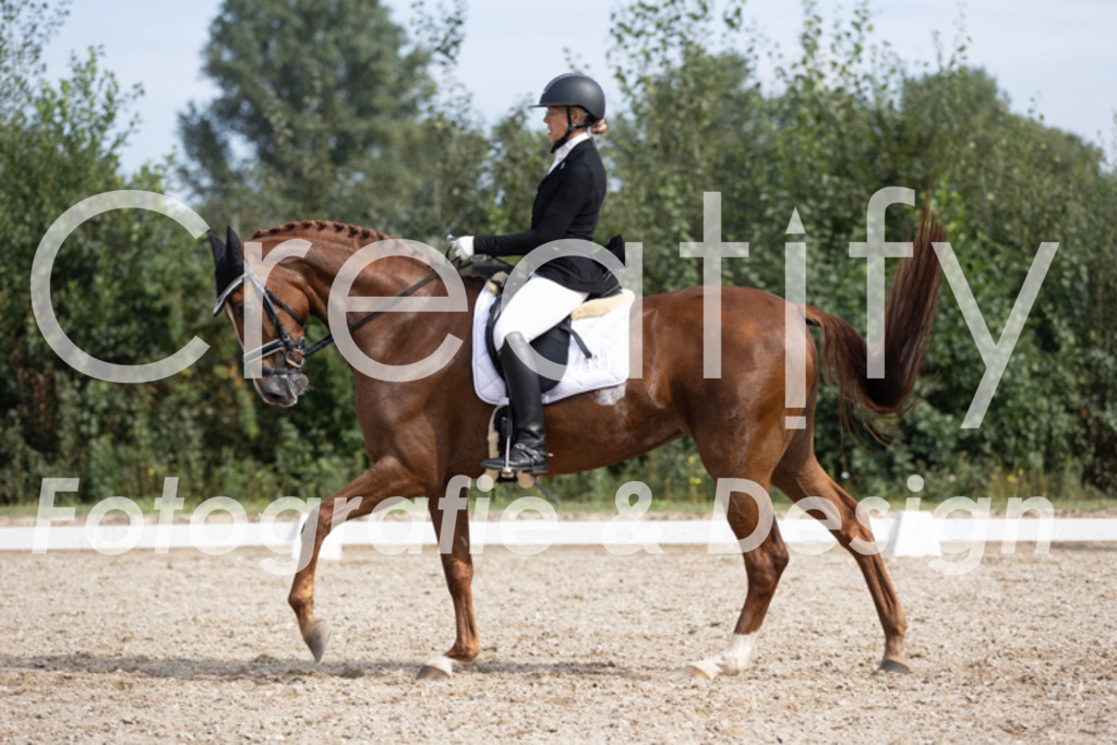 IMG_4191 | Creatify Fotografie