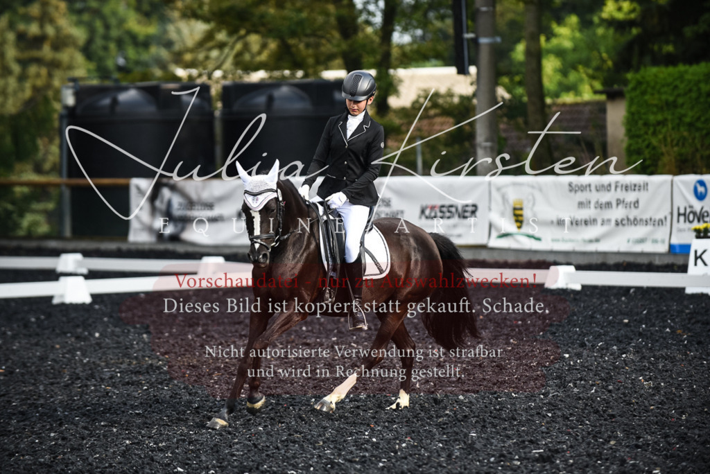 DSC_3412 | Pferde- und Turnierfotografie in Westsachsen. Pferdeportraits, Auftragszeichnungen und intuitive Kunst.