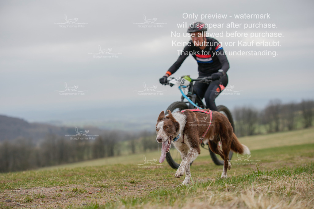 BikeSA-270 | stephaniefillaphotographie - Realisiert mit Pictrs.com