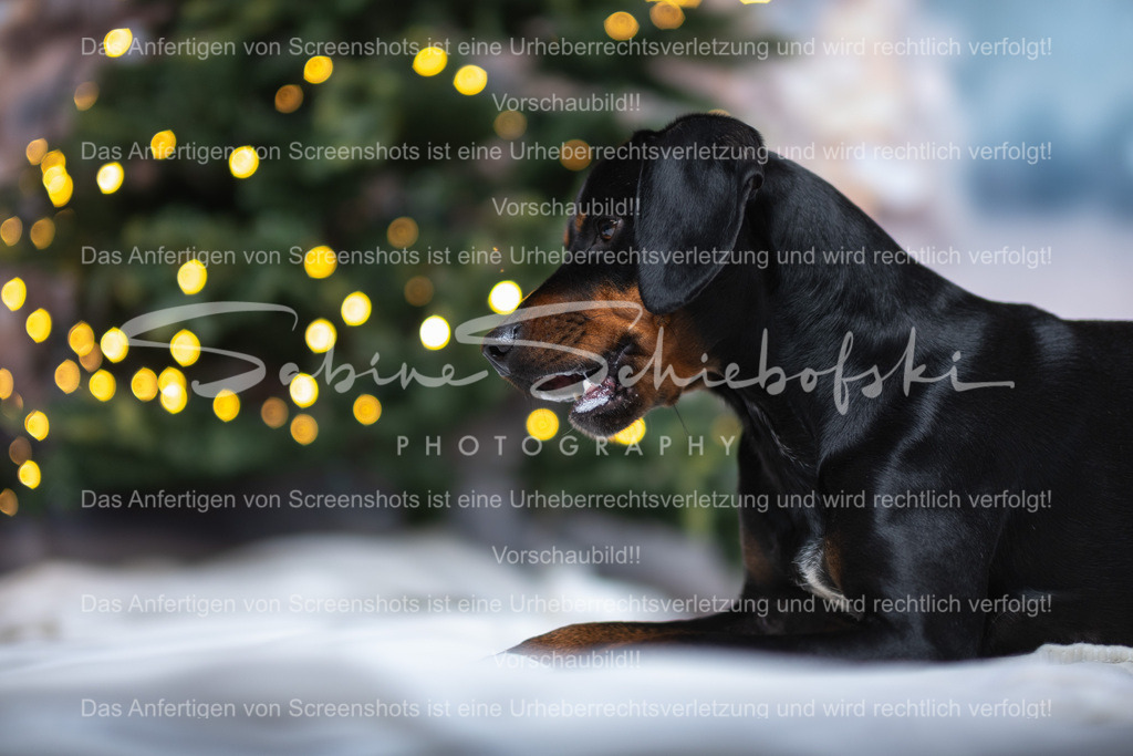 DSCF4384 | People- und Tierfotografie, Imageaufnahmen, Veranstaltungsfotografie und Wandbilder aus der Natur ★ Made in Germany ✔️ Druck + Downloads ✔️ Naturfotografie in Top Qualität ★ schneller Versand, weltweite Lieferung! - Realisiert mit Pictrs.com