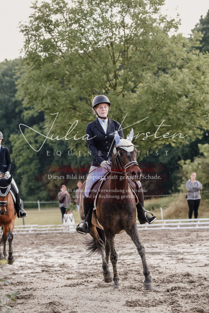 DSC_8152 | Pferde- und Turnierfotografie in Westsachsen. Pferdeportraits, Auftragszeichnungen und intuitive Kunst.