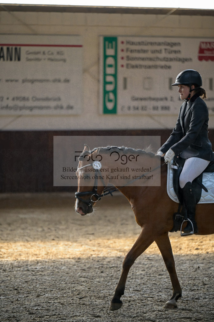 Reitturnier Voxtrup | Entdecke hochwertige Reitturnierfotos von Foto Oger. Professionell, emotional und authentisch – jetzt Lieblingsmomente im Shop bestellen.Deutschlandweite Turnierfotografie. - Realisiert mit Pictrs.com