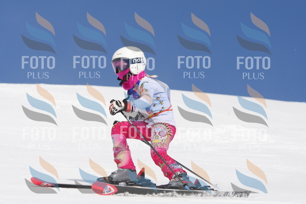 _W1G0811 | holidayphoto