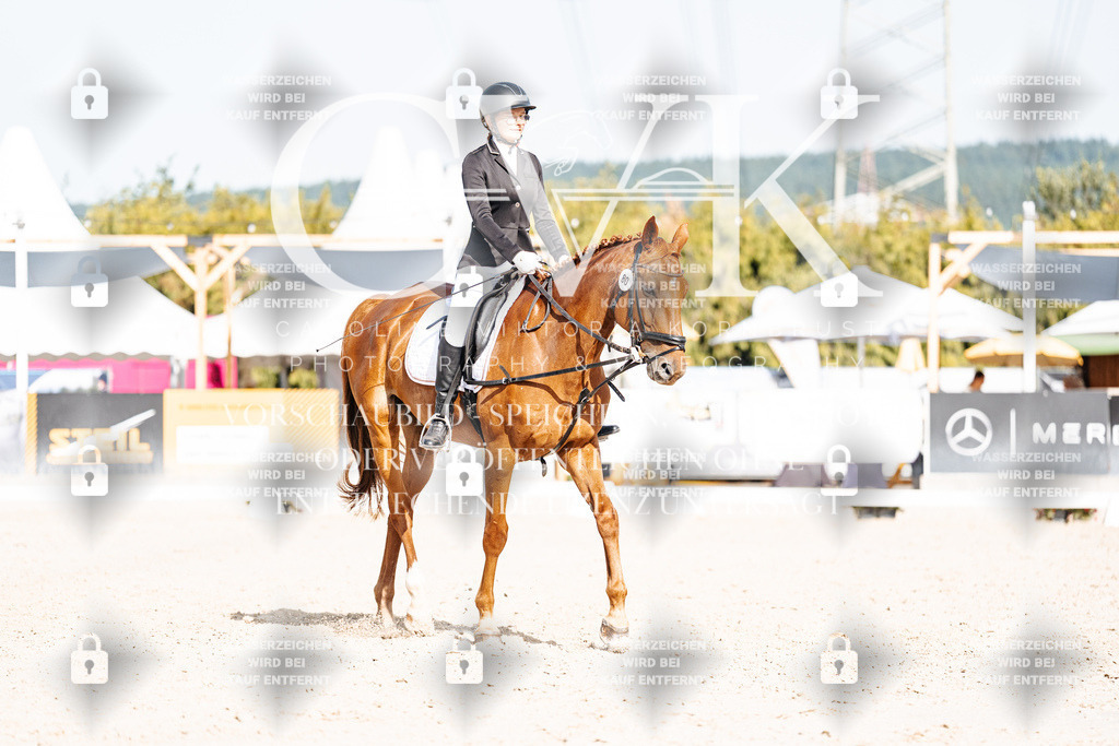 CK905460 | Turnierfotografie Pferdefotografie Trier Rheinland-Pfalz Pferdesport Reitsport Tierfotografie Sportfotografie Pferdevideo Pferdevideografie Equestrianvideography equestrianphotography  - Realisiert mit Pictrs.com