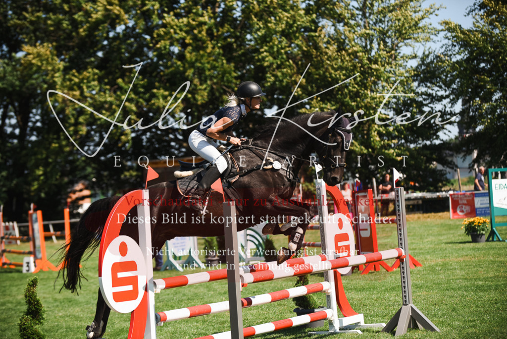 DSC_2778 | Pferde- und Turnierfotografie in Westsachsen. Pferdeportraits, Auftragszeichnungen und intuitive Kunst.