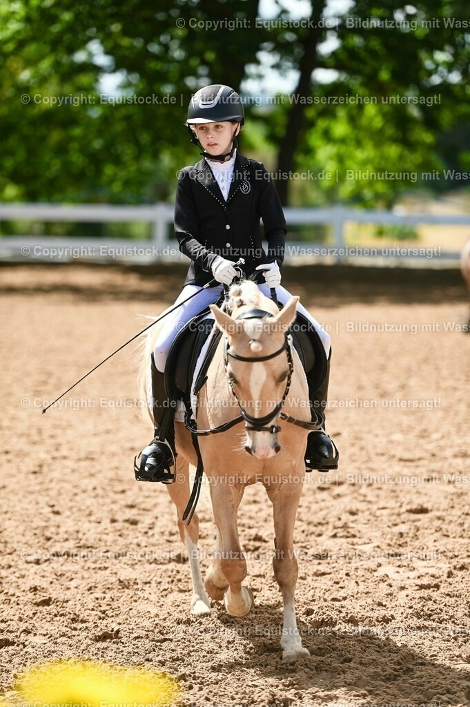 20230716_10-3_Reiter-WB Schritt - Trab - Galopp_0028 | equistock